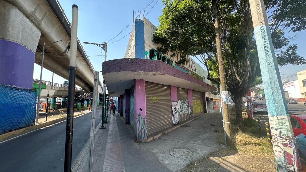 11 de 15