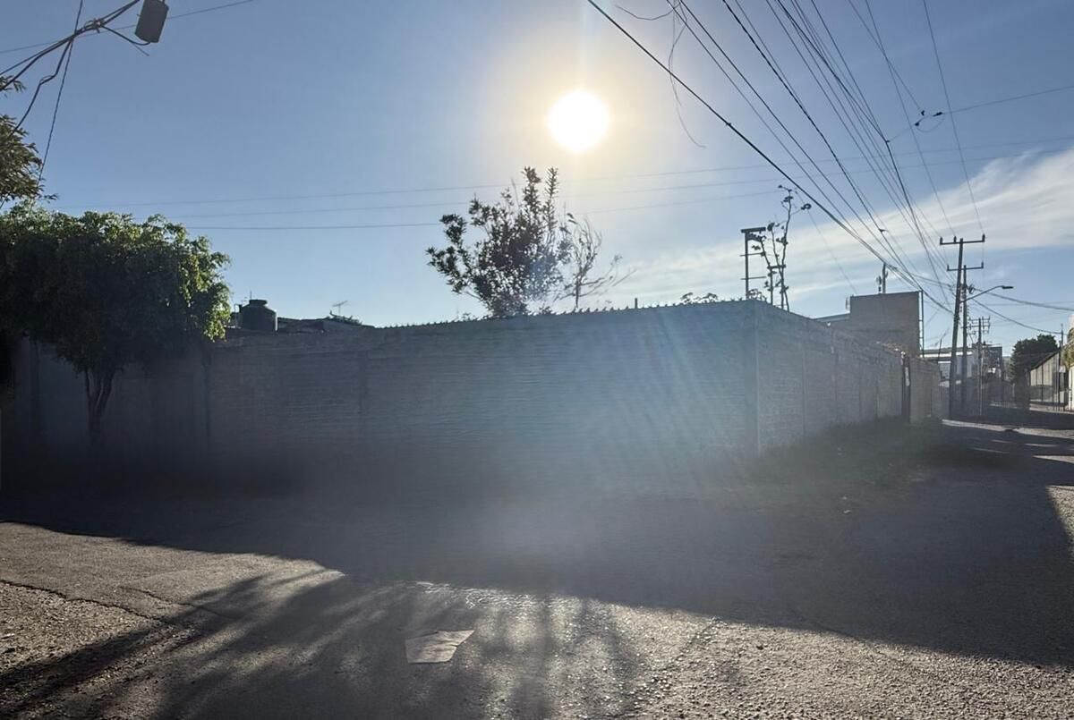 13 de 13