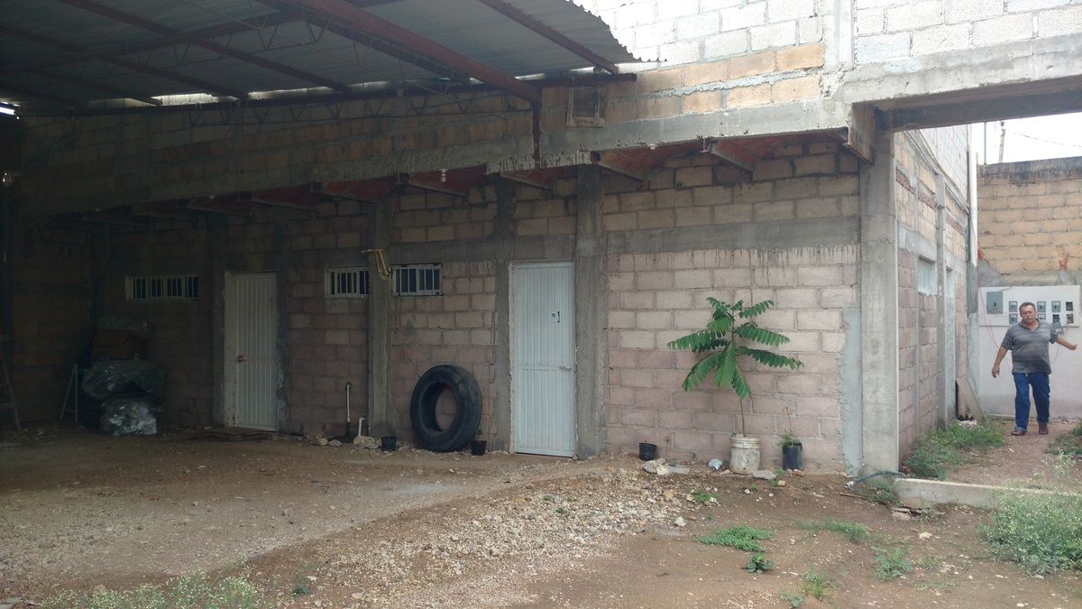 3 de 13