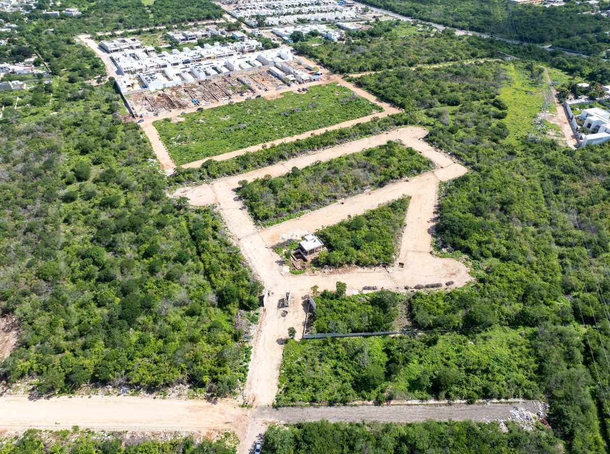 8 of 8: Preventa con precio especial