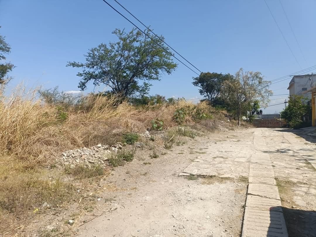 3 de 4