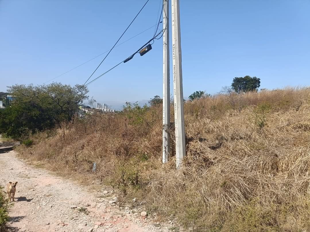 2 de 4