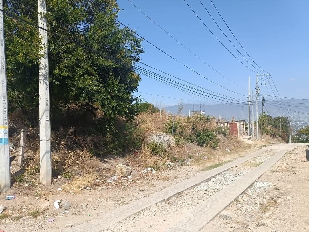 4 de 4