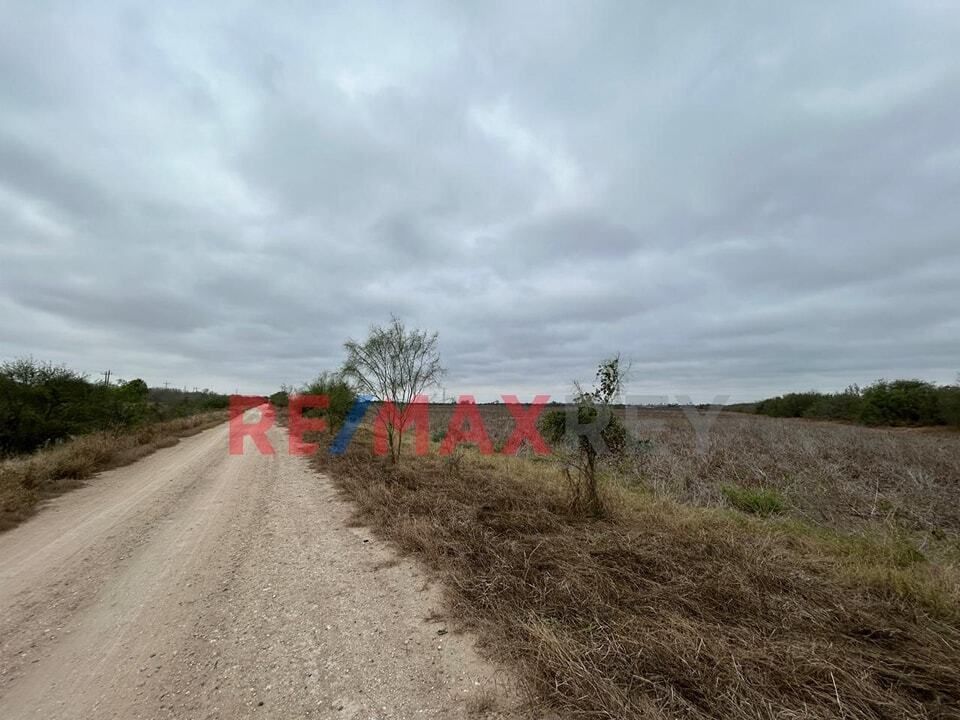6 de 7