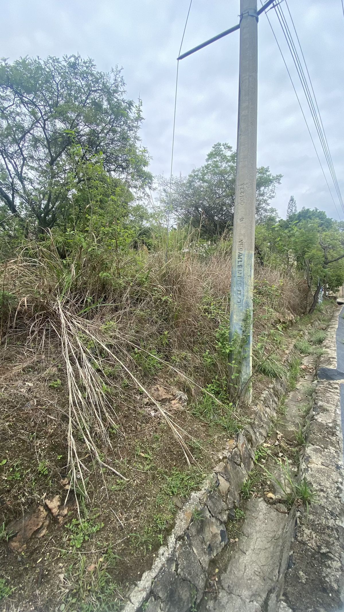 2 de 7