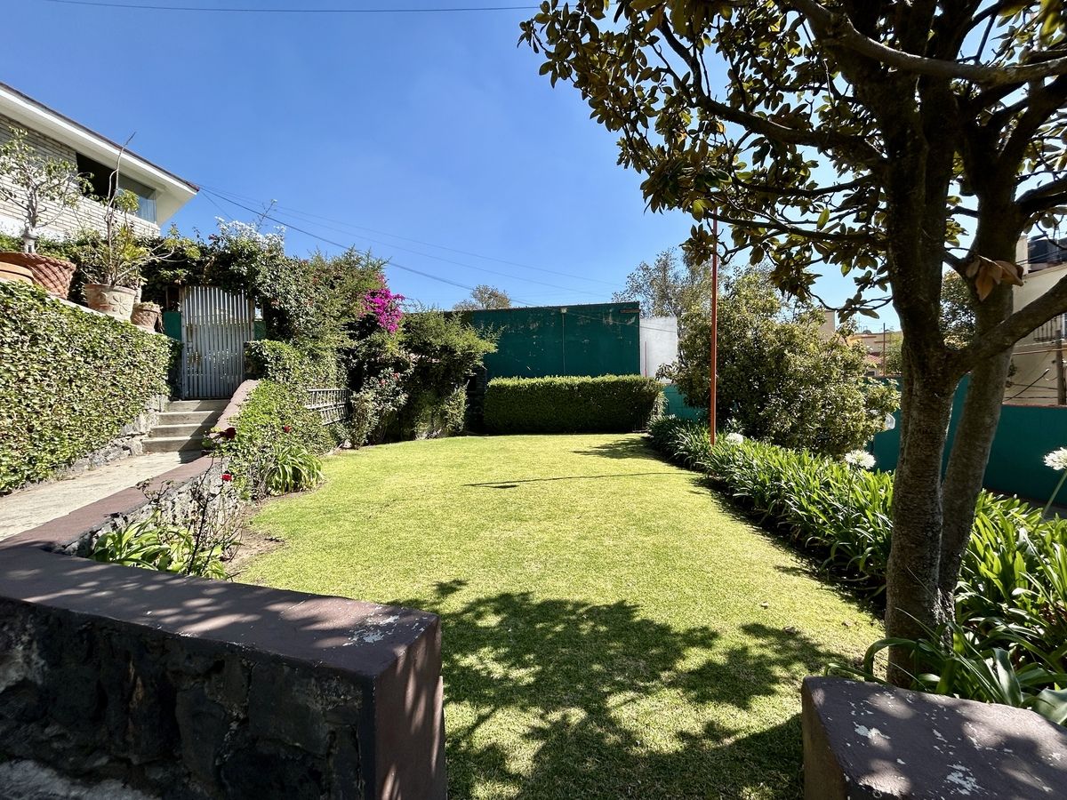 3 de 28: JARDÍN COMÚN