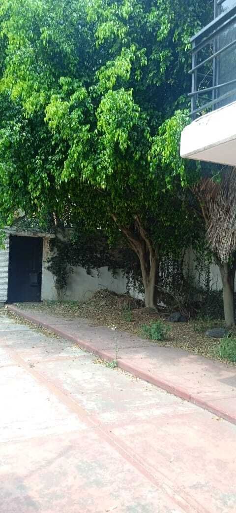 Imagen 9 de 10