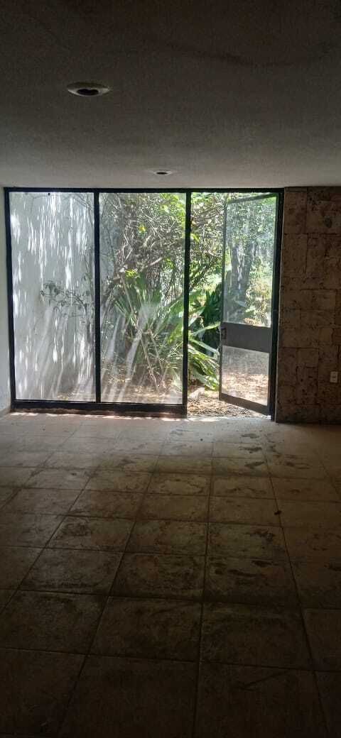 Imagen 10 de 10