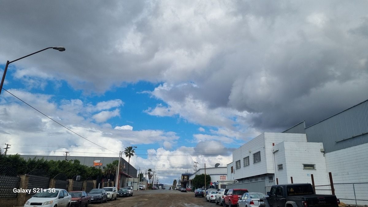 4 de 23
