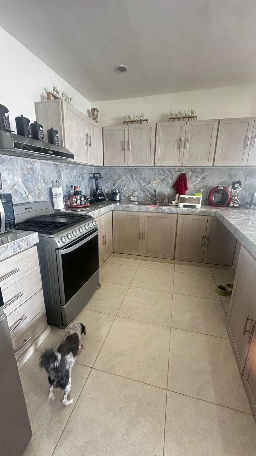 Hermosa casa en venta en Dzitya Mérida Yucatán - foto 2
