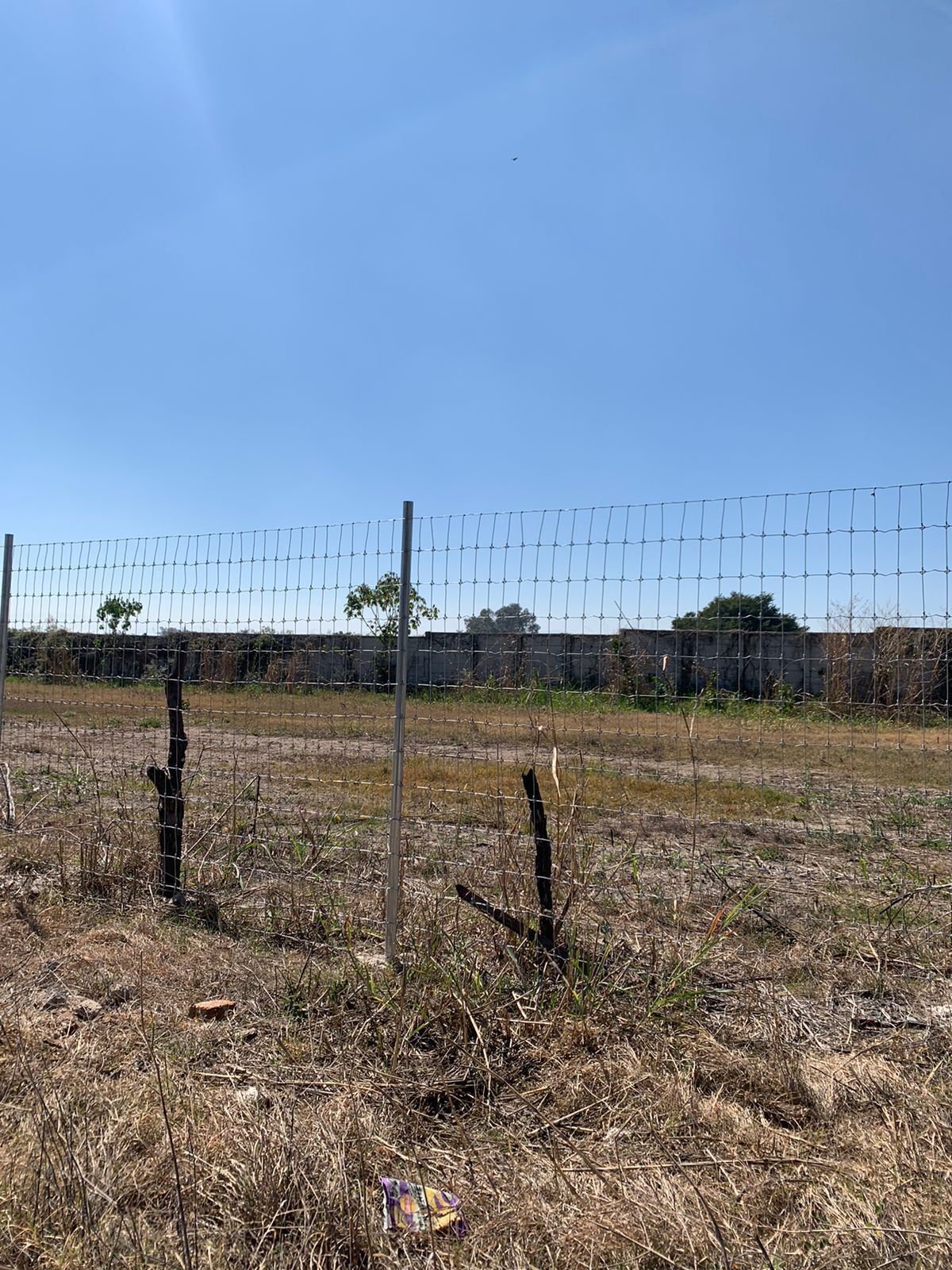 EXCELENTE TERRENOS EN VENTA EN CHAPALA - foto 1