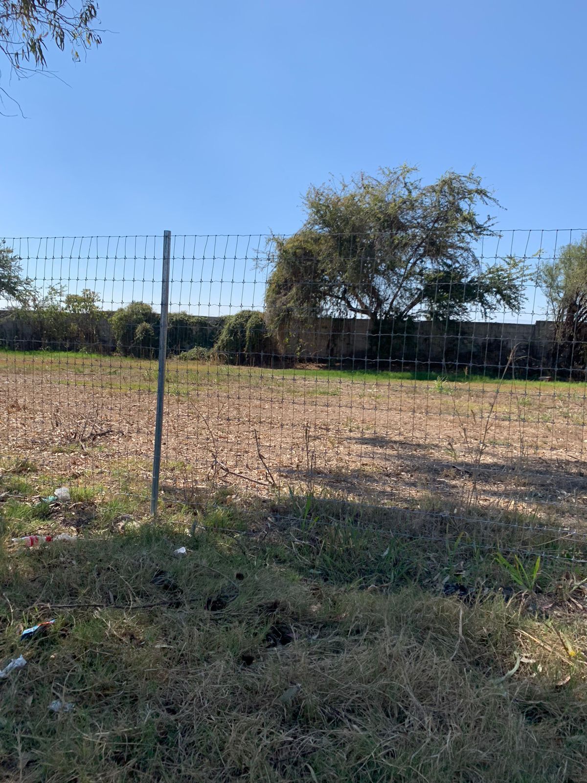 EXCELENTE TERRENOS EN VENTA EN CHAPALA - foto 3