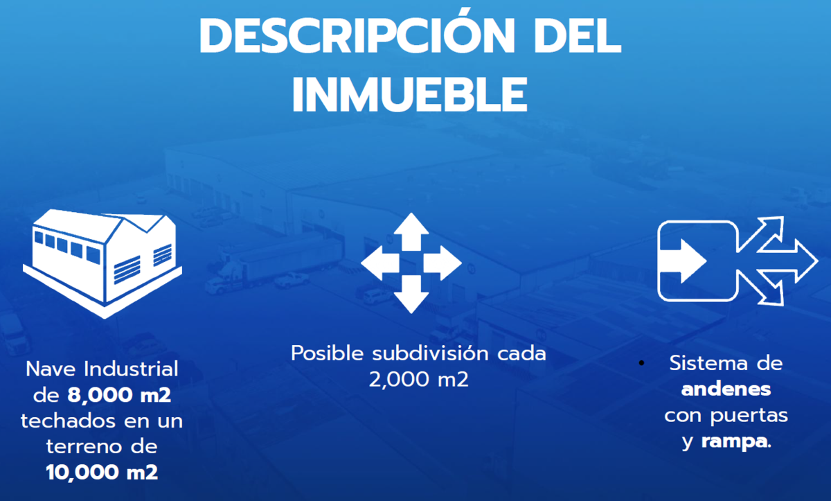 13 de 14
