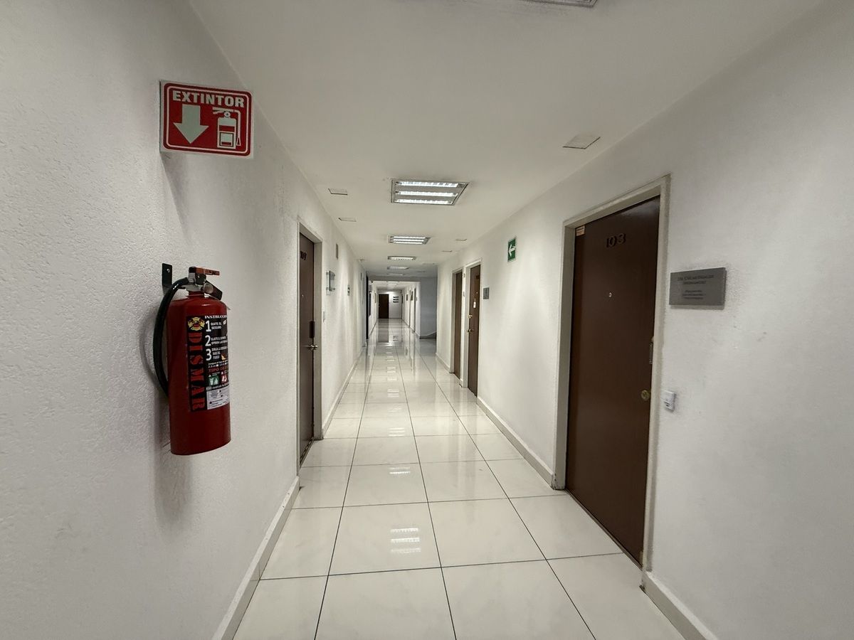 11 de 13