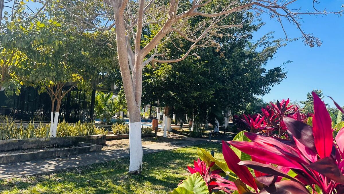 Casa en Conkal, Conkal, foto 18 de 18