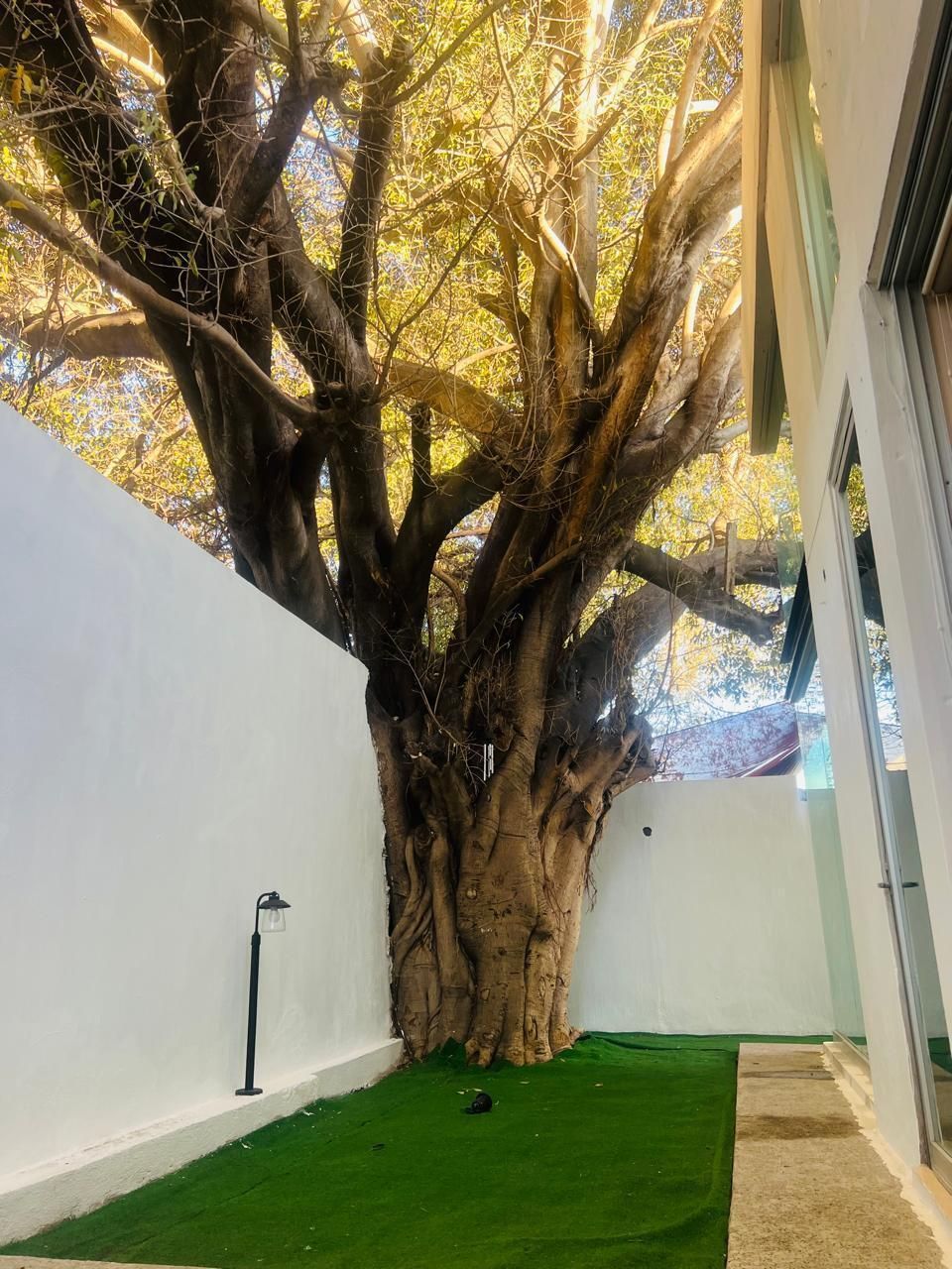 Casa en La Rioja, Tlajomulco de Zúñiga, foto 6 de 14