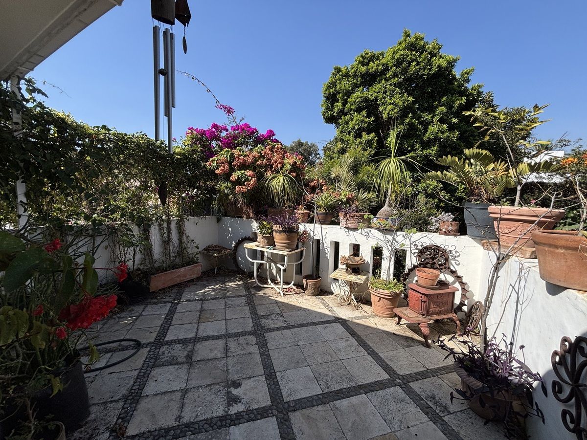 TERRAZA, foto 25 de 36