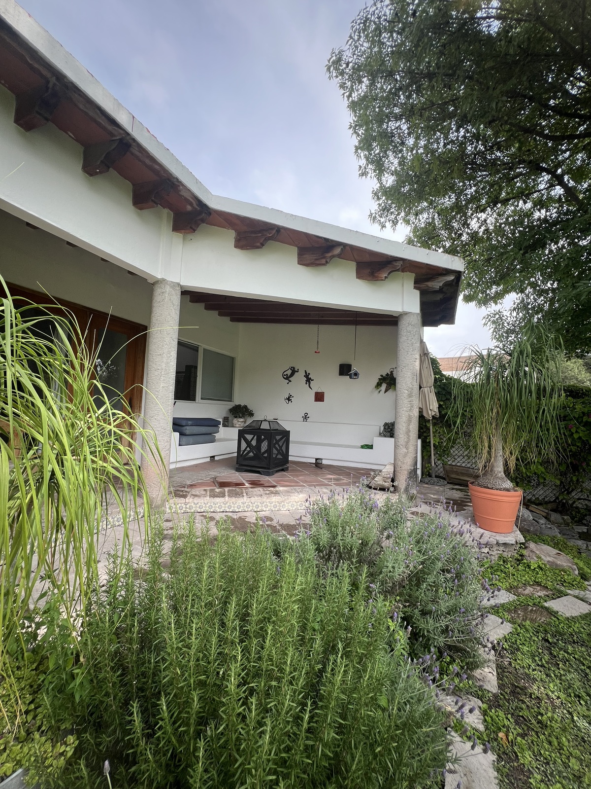 2 de 30: Terraza en jardín