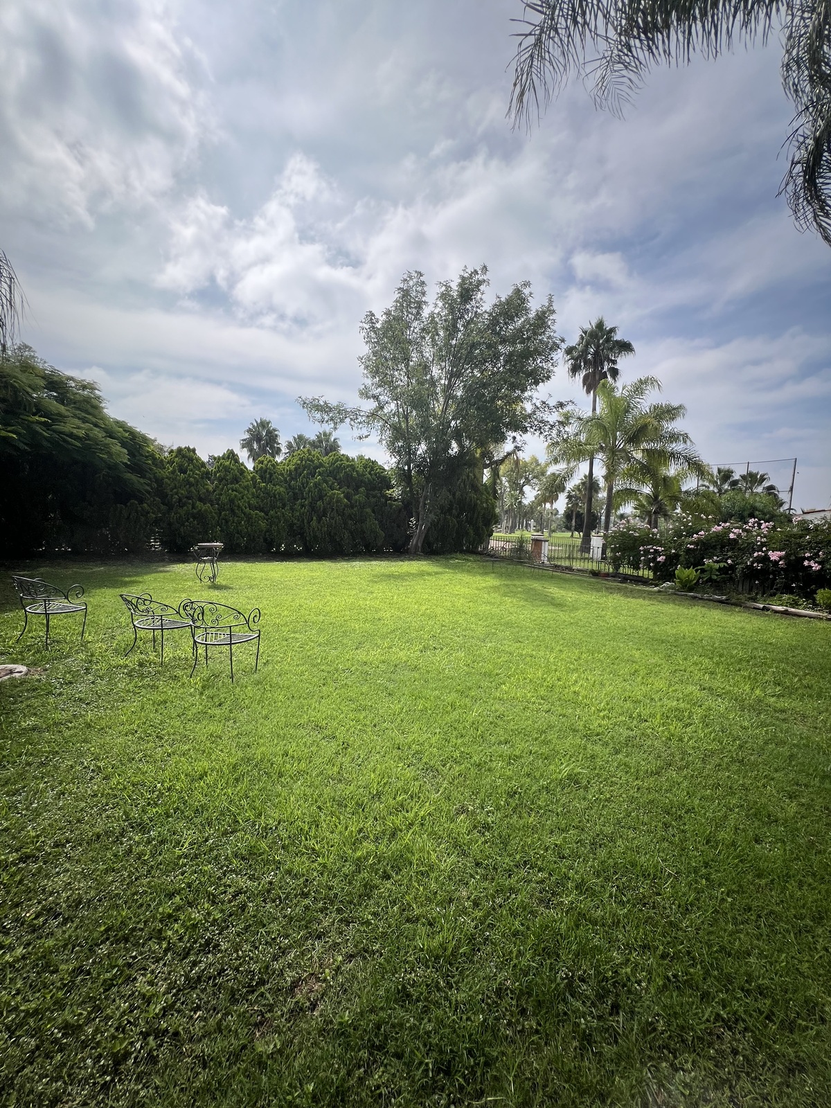 3 of 30: Jardín hacia hoyo 10