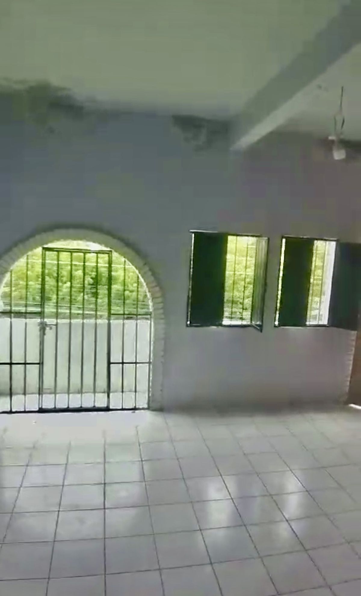 21 de 24