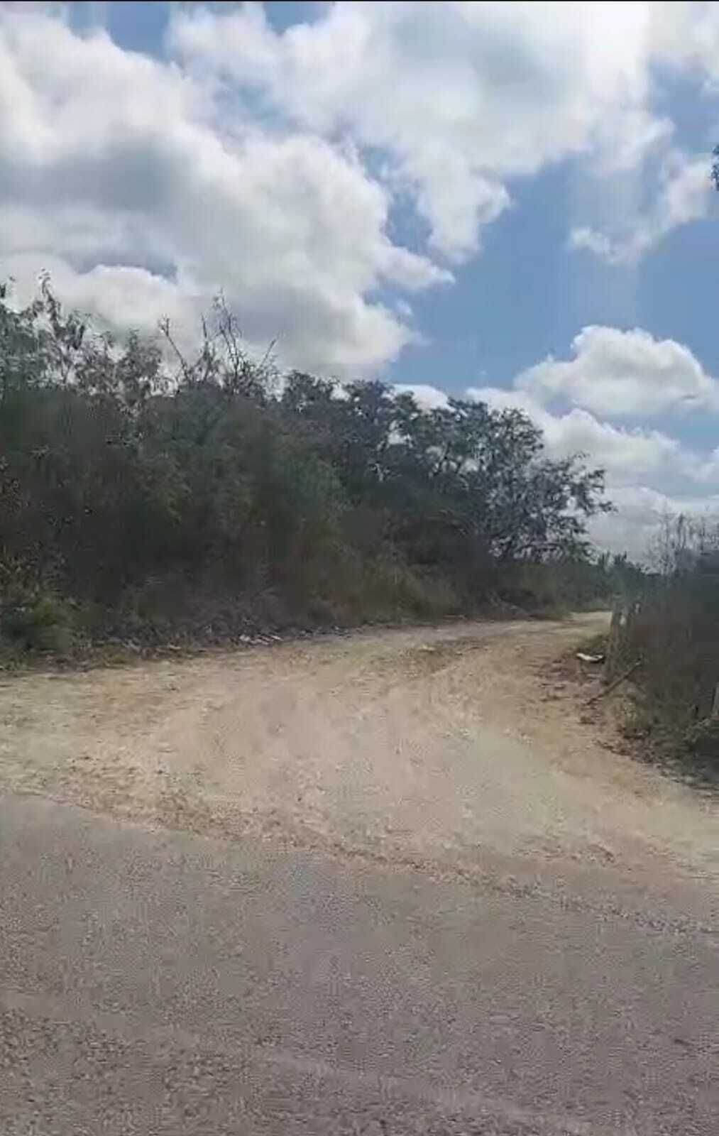 2 de 8