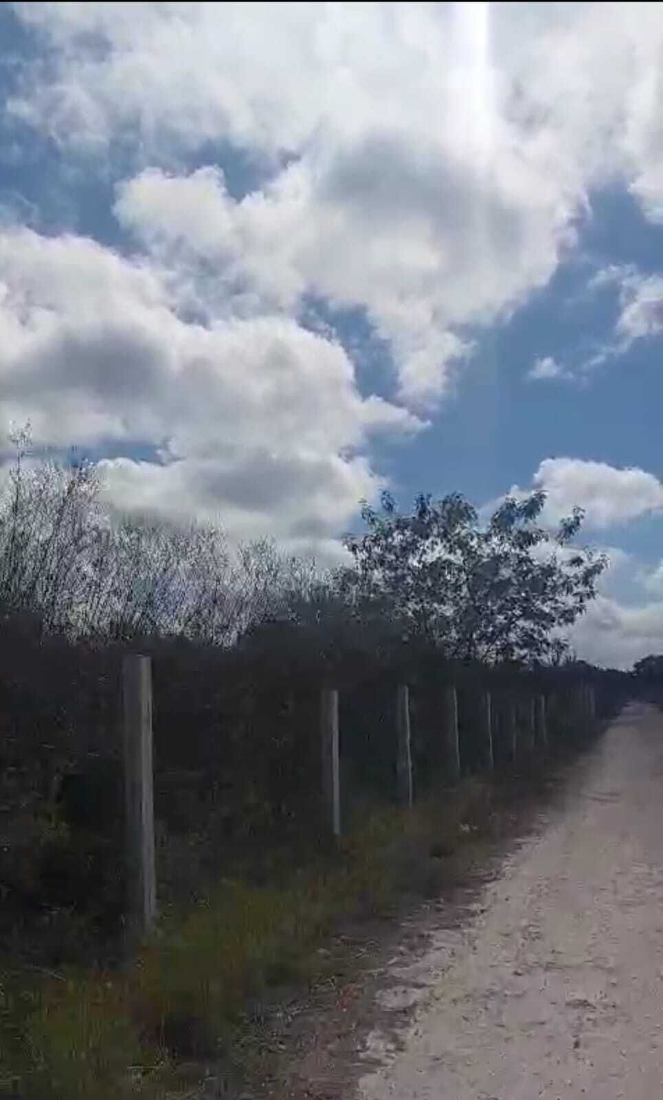 4 de 8