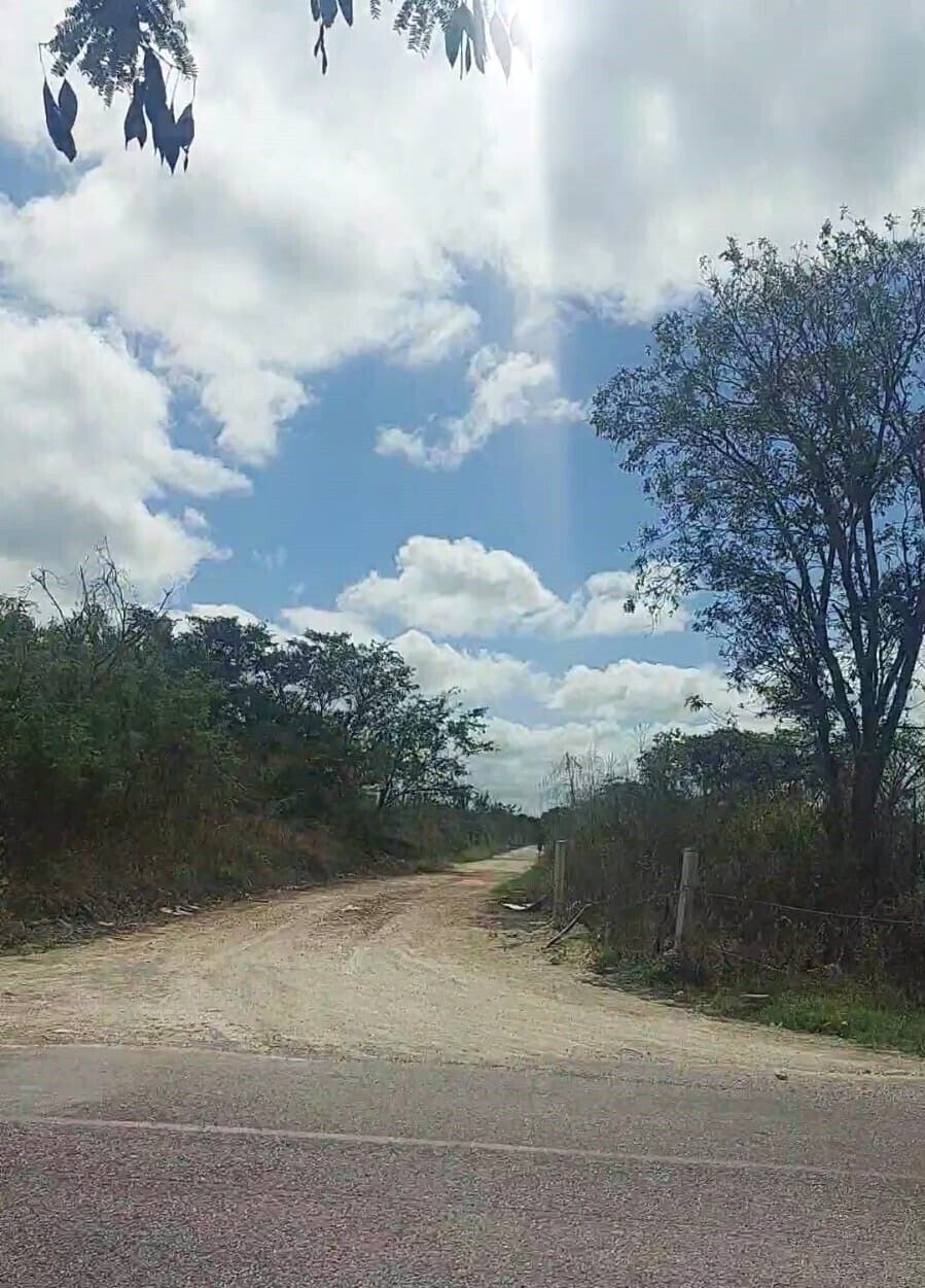 5 de 8