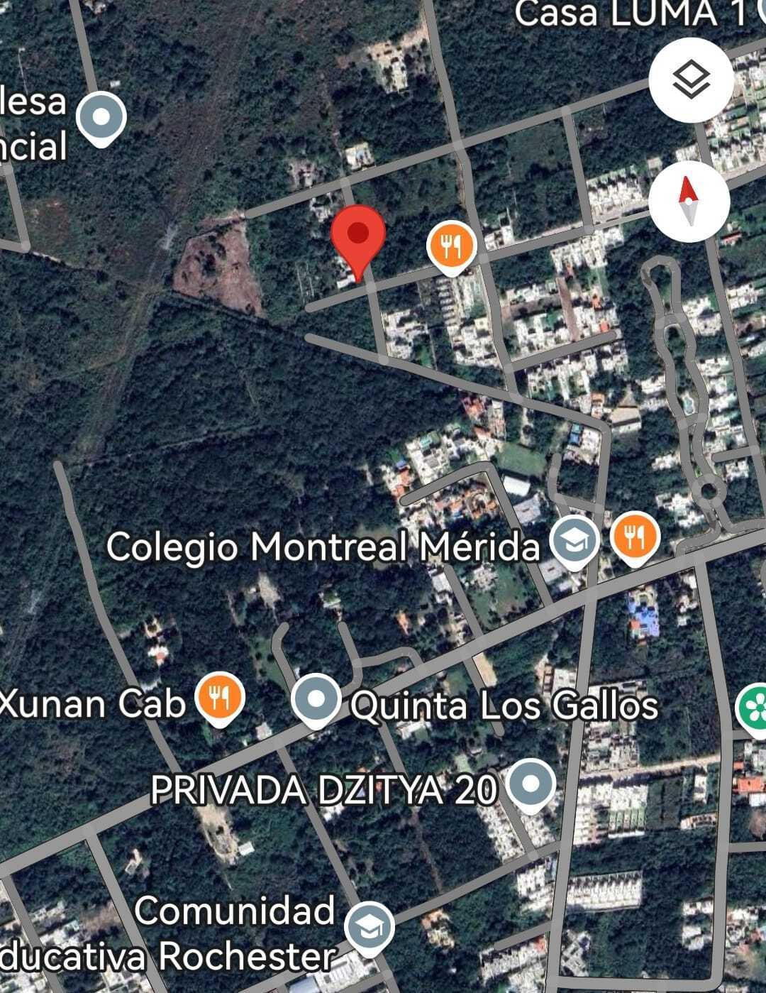 41 de 41