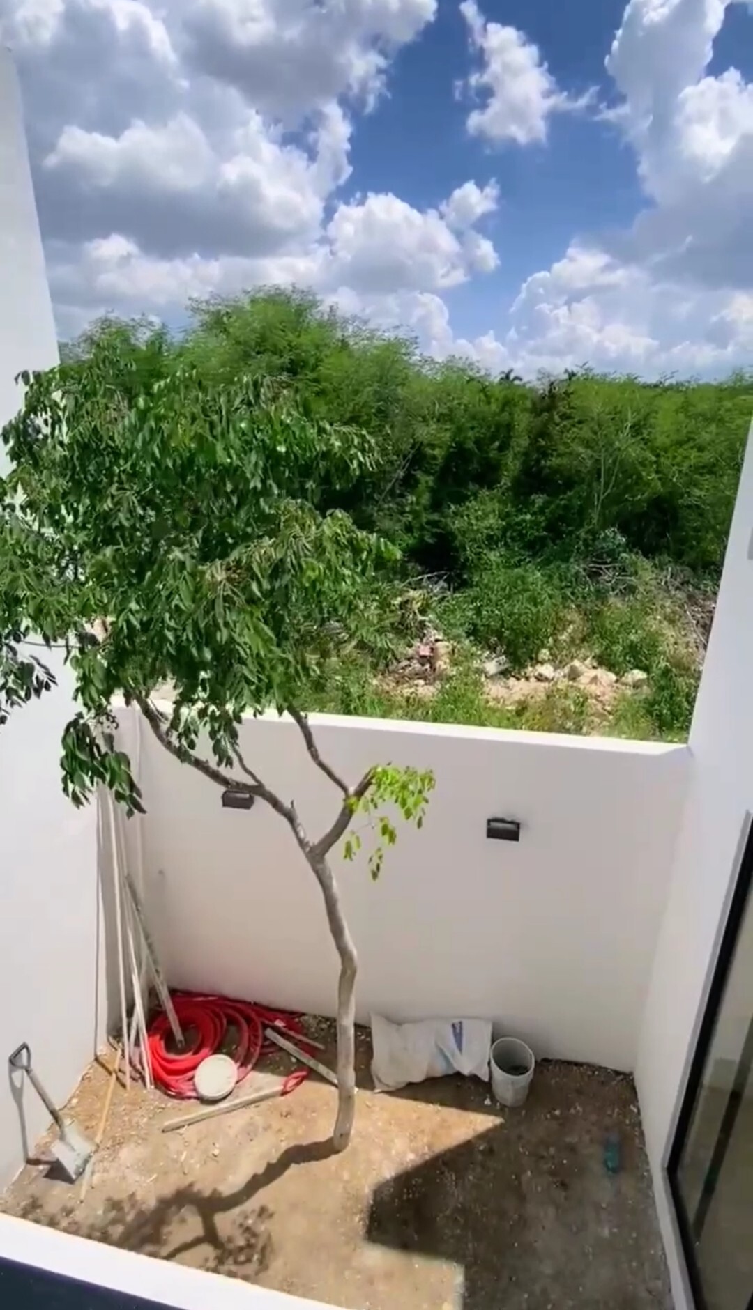 29 de 41