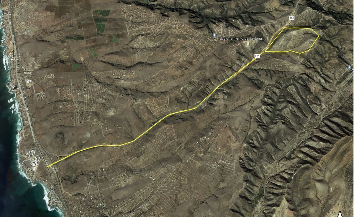 Ruta