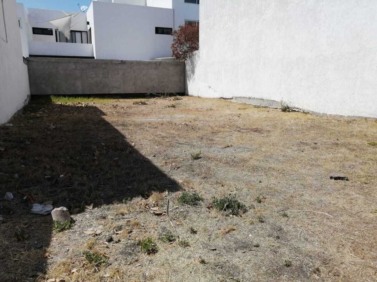 4 of 7: Terreno
