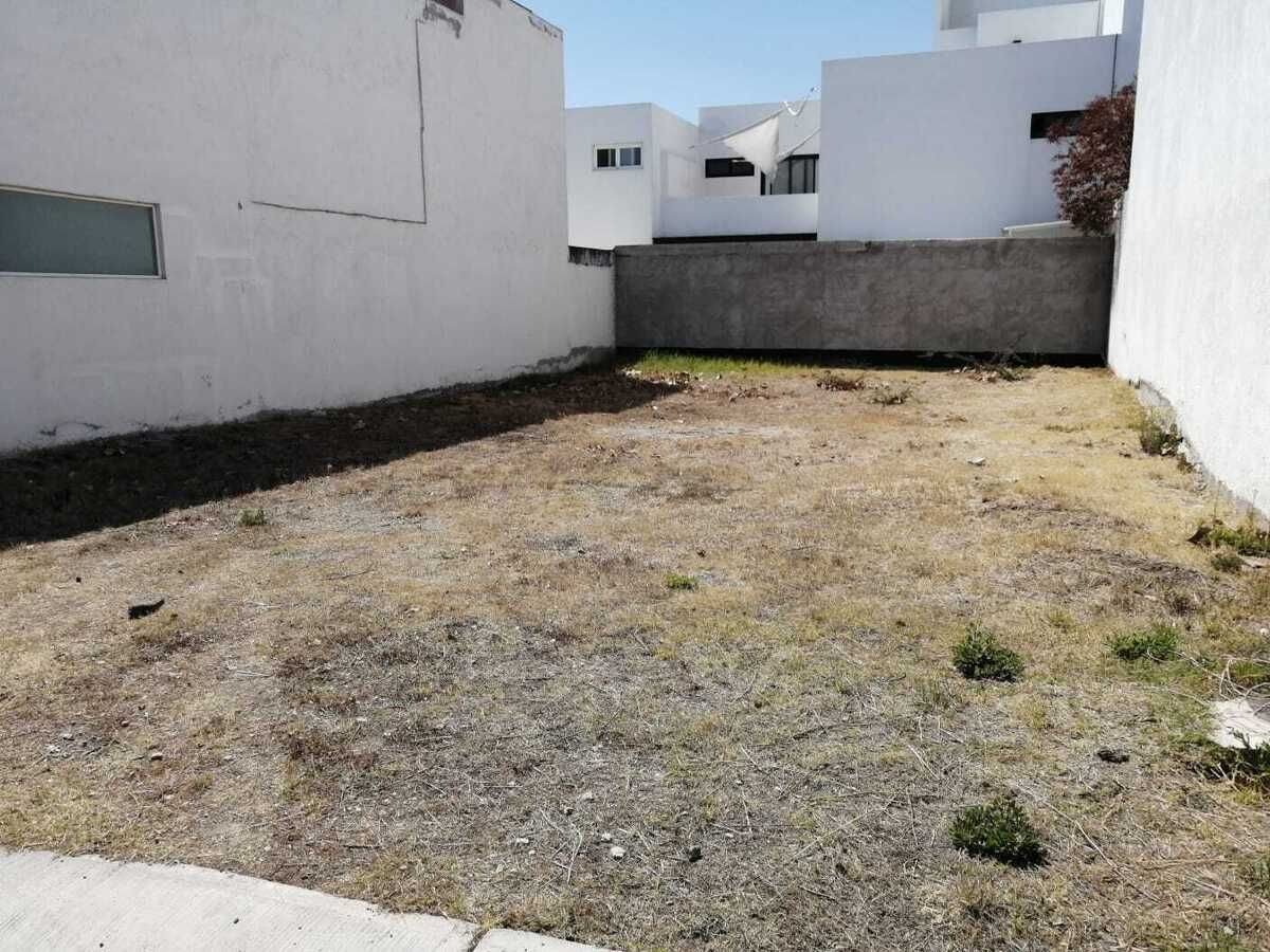5 of 7: Terreno
