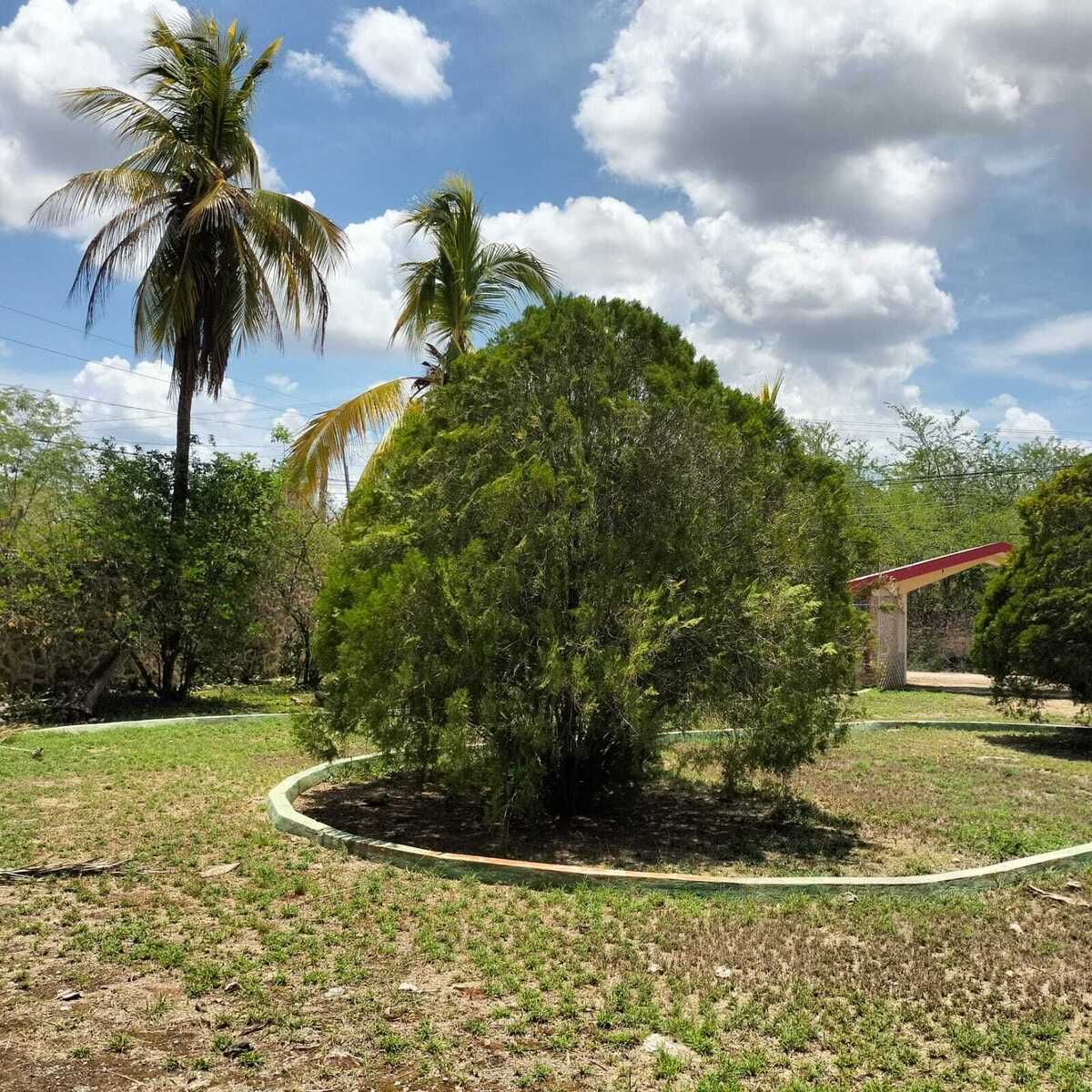 11 de 19
