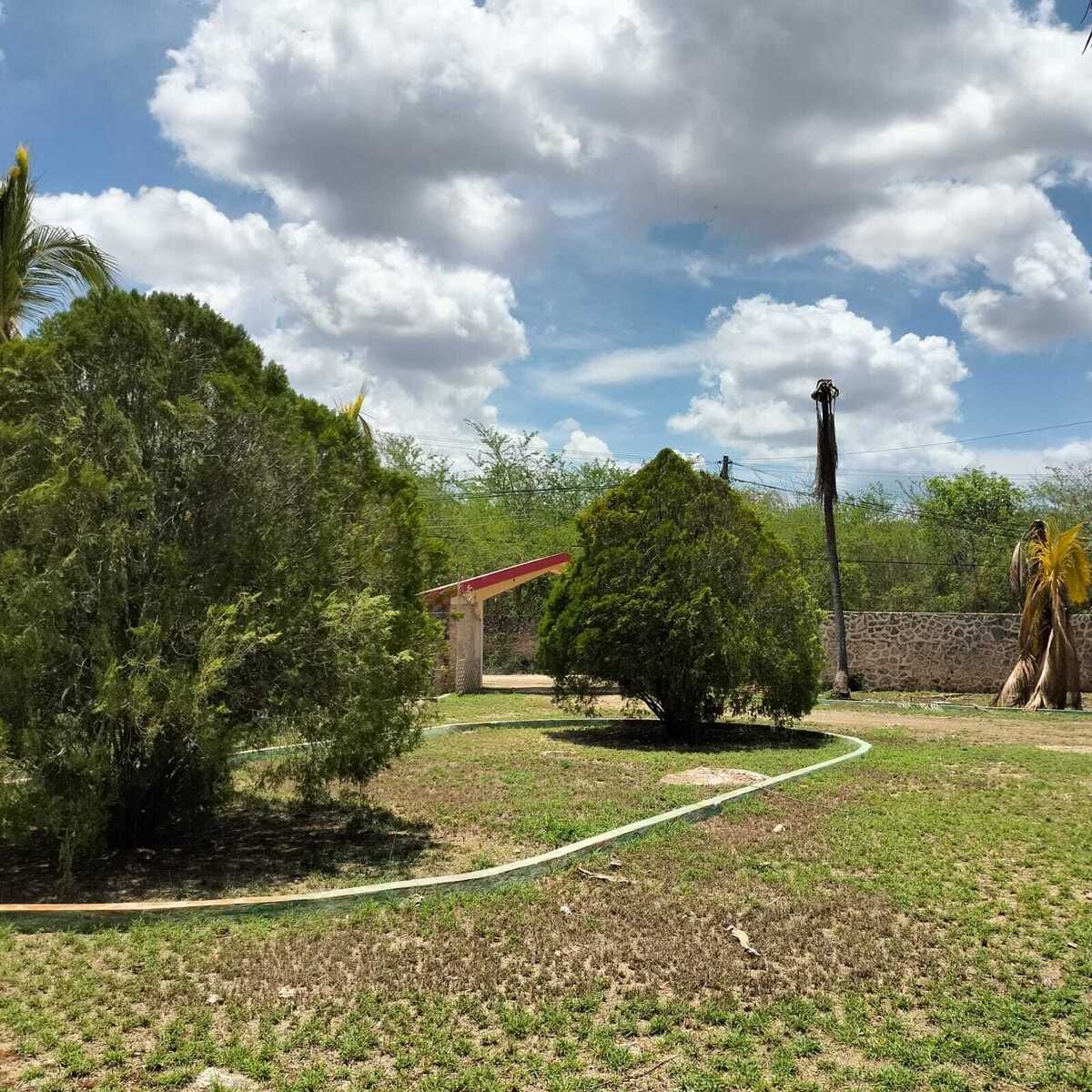 2 de 19