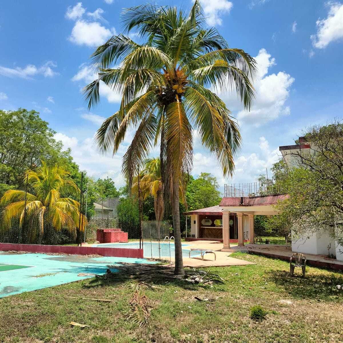 RESIDENTIAL LOT NORTH OF MERIDA PASEO NORTE AREA - foto 5