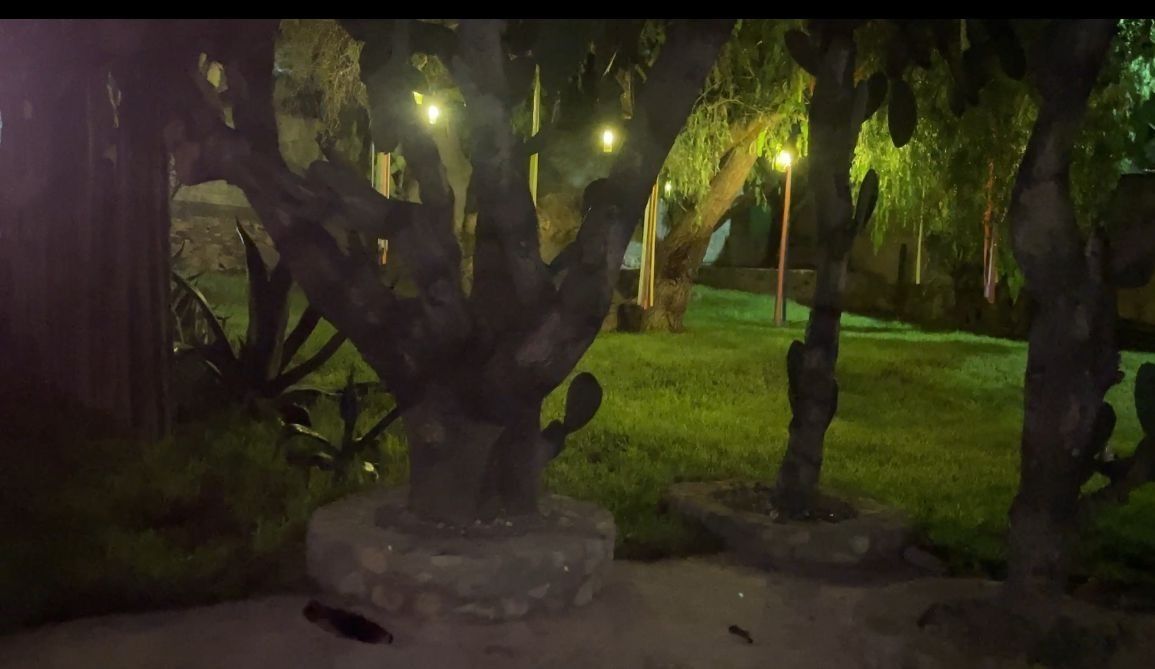 12 de 27