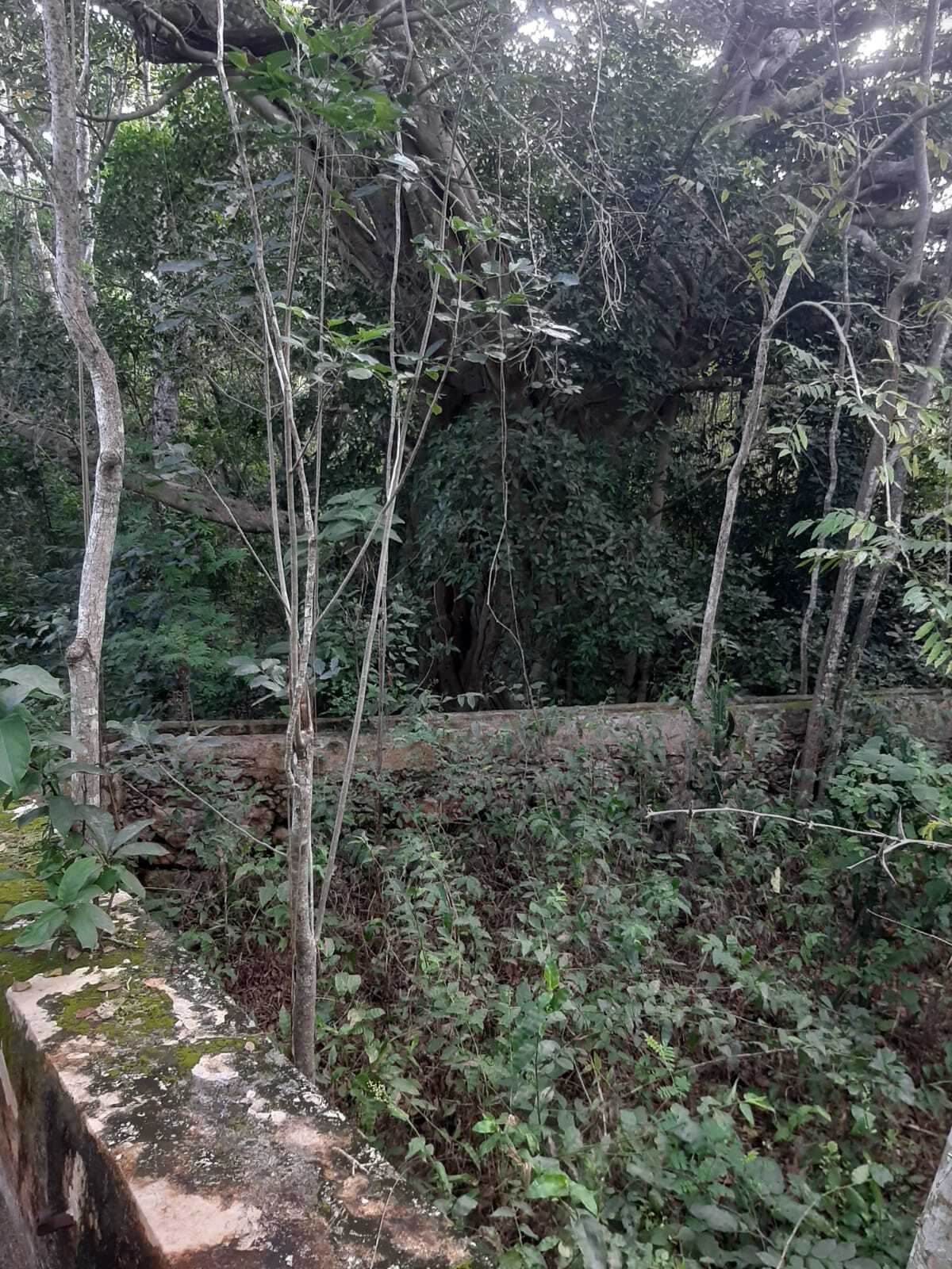 11 de 16