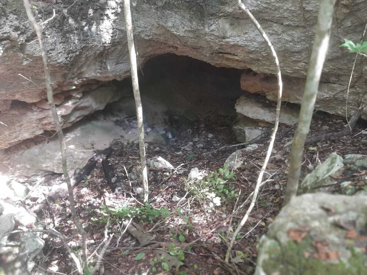 14 de 16
