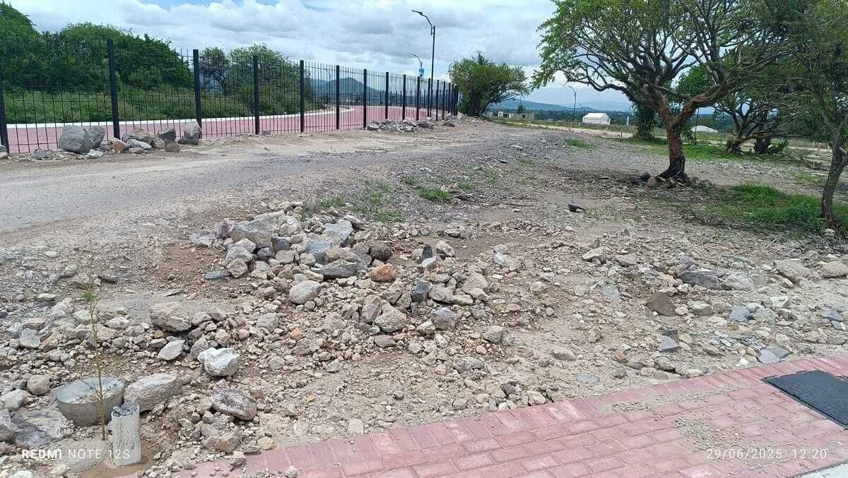 5 de 24