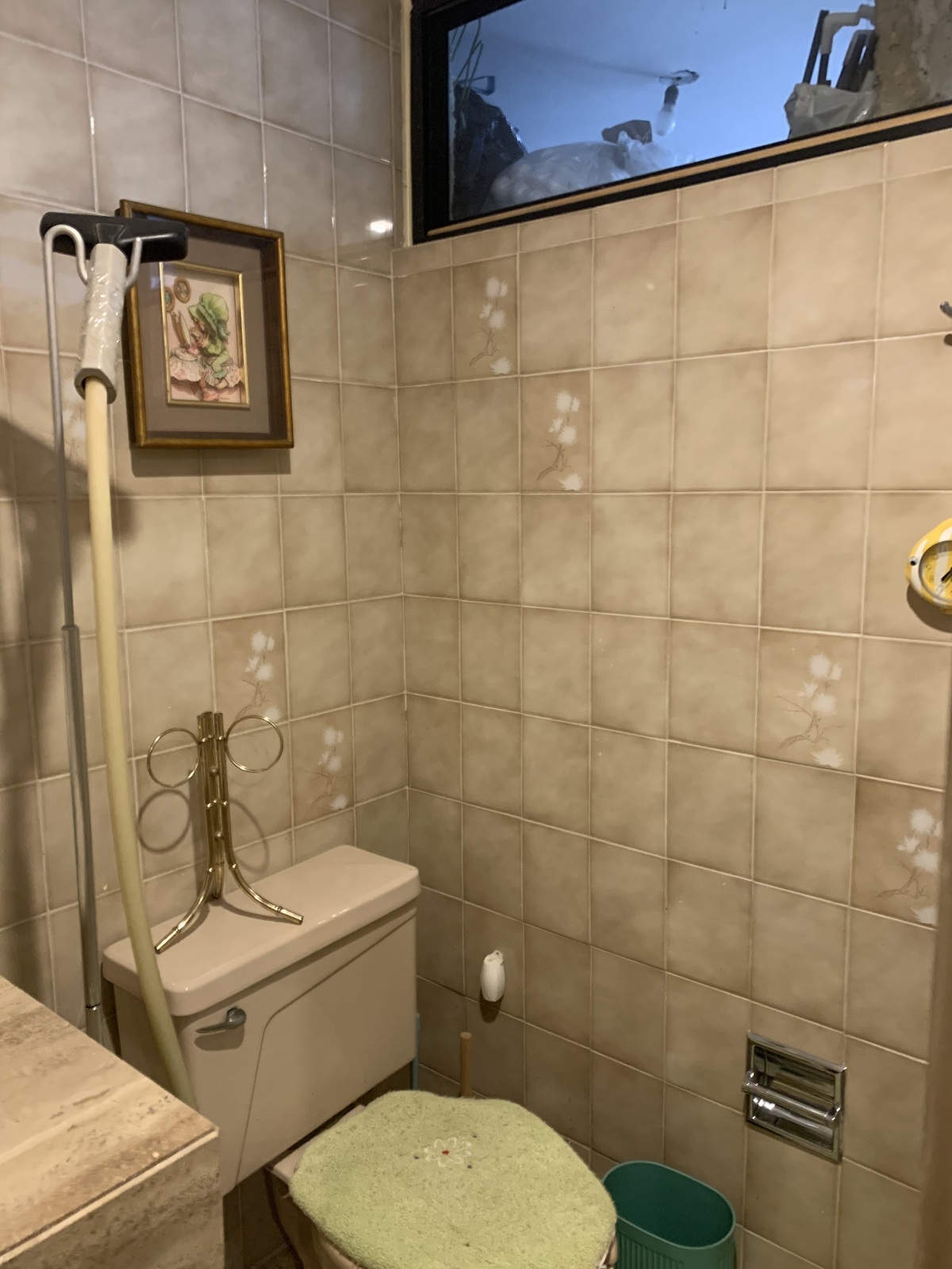 24 de 37: Baño de visitas