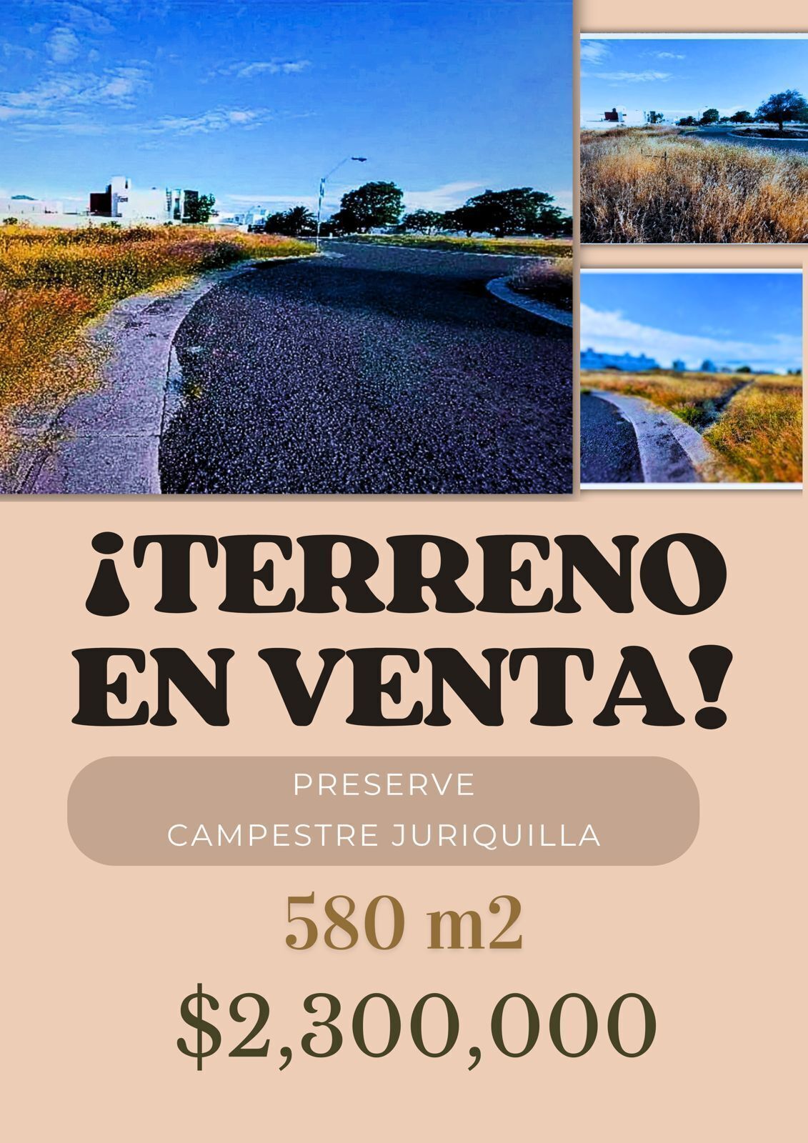 1 de 5