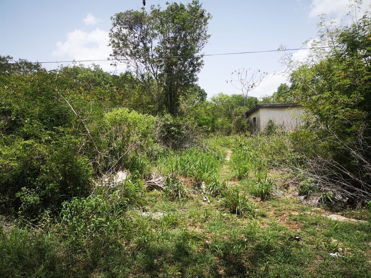 5 of 10: Tiene una pequeña construcción