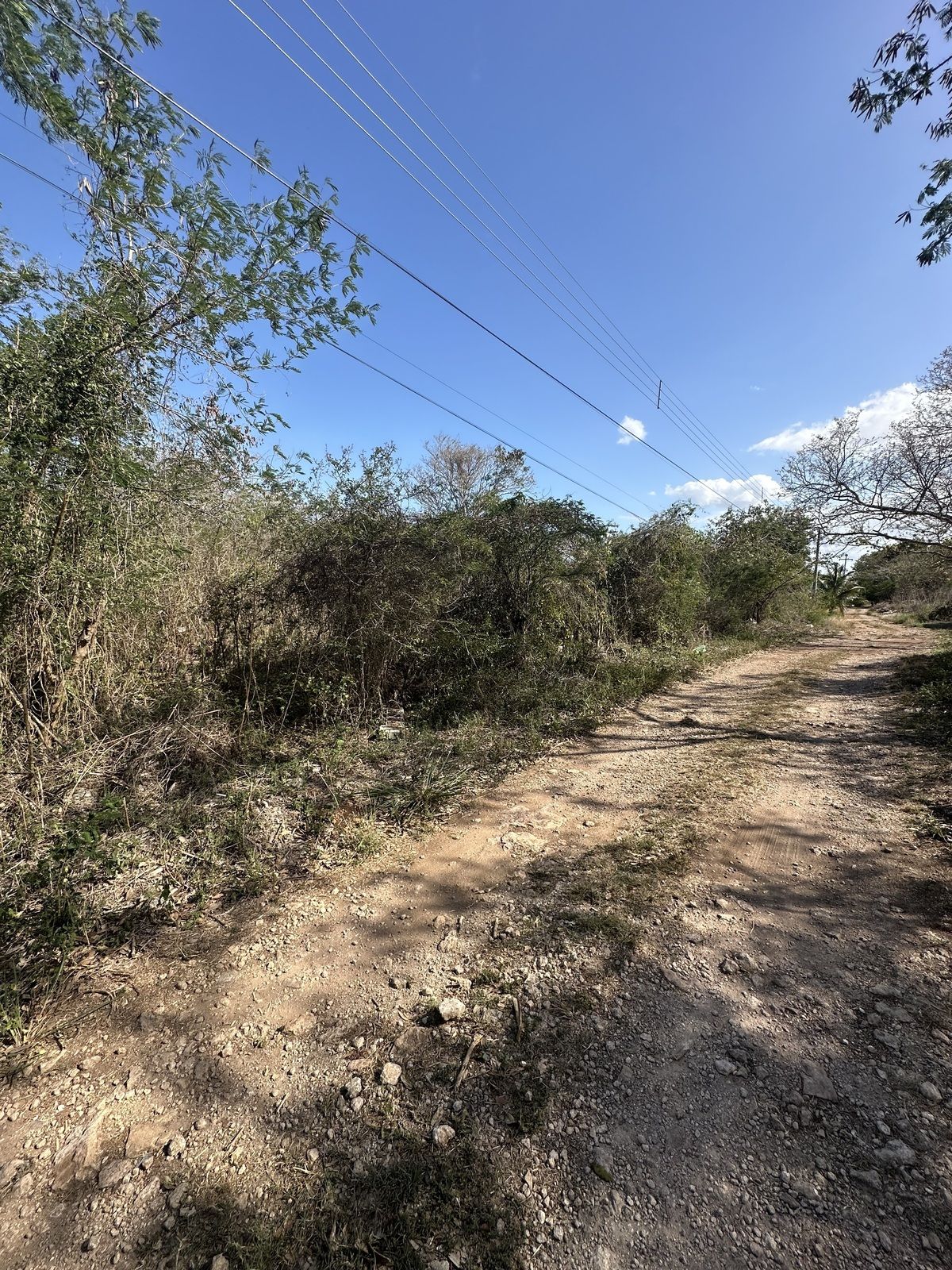 2 of 10: Terreno con calle blanca