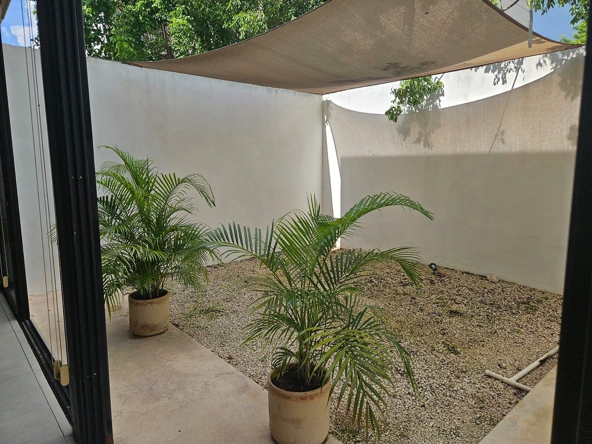Terraza, foto 10 de 11
