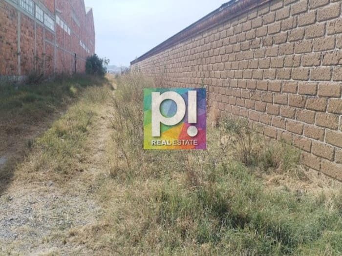 2 de 8