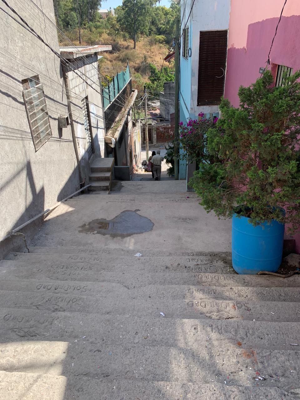 5 de 19