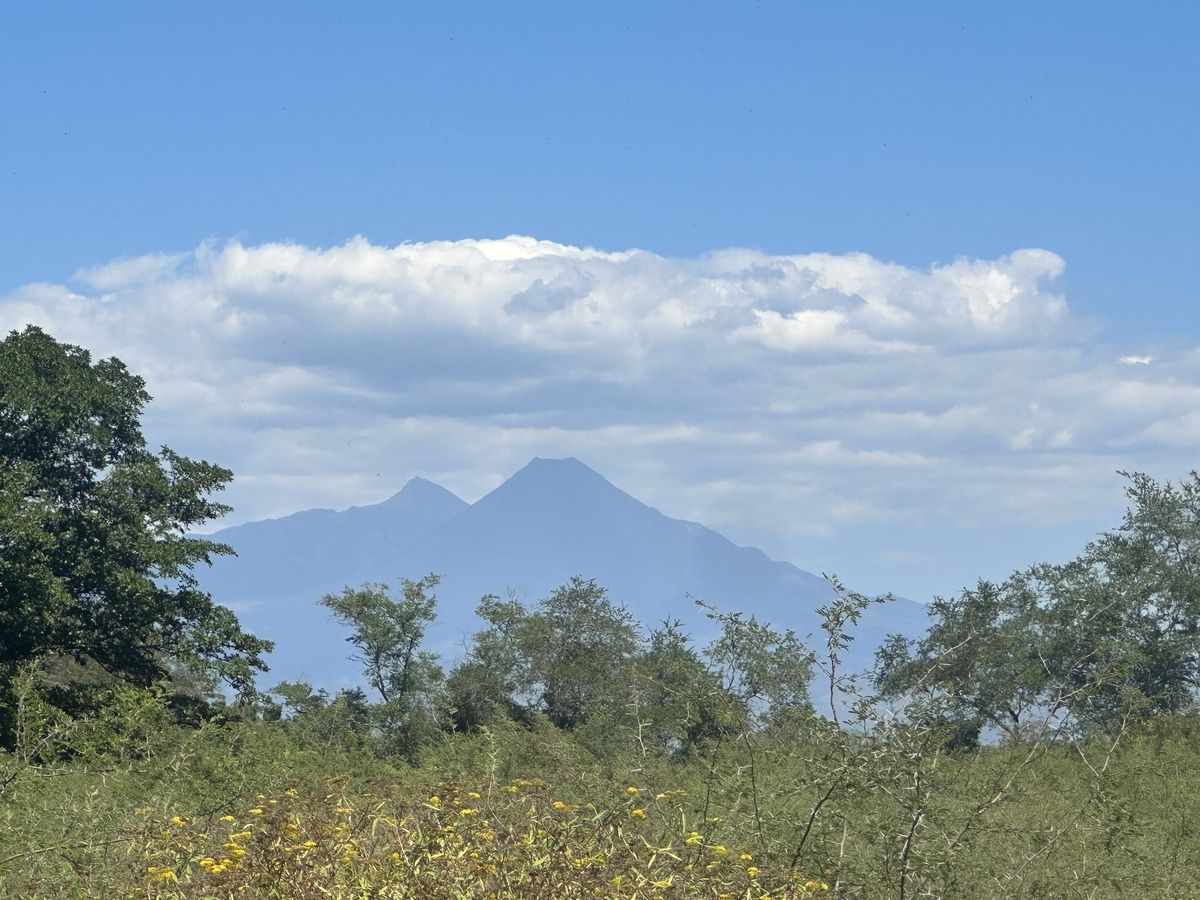9 de 16