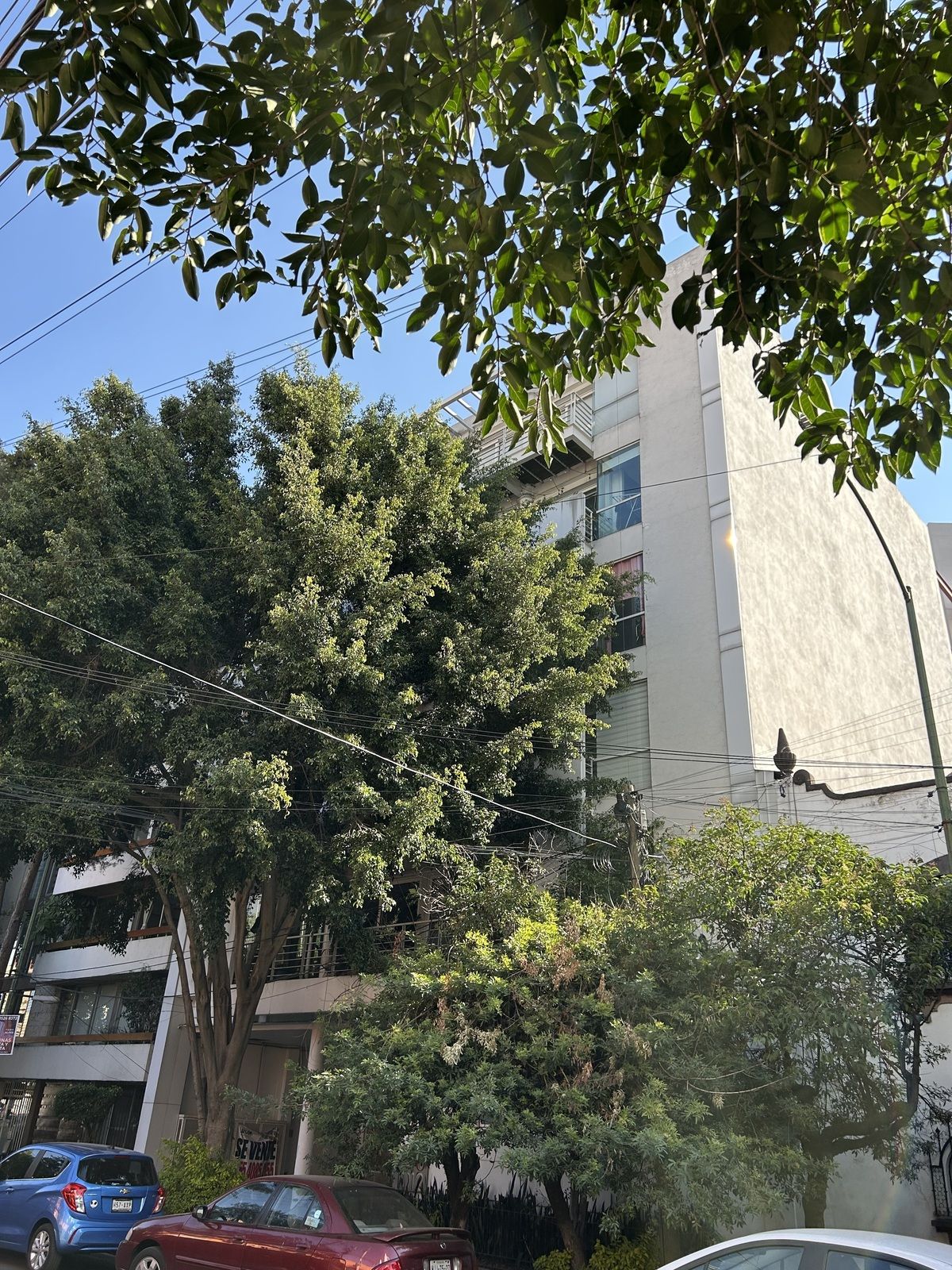 1 de 20: Fachada arbolada