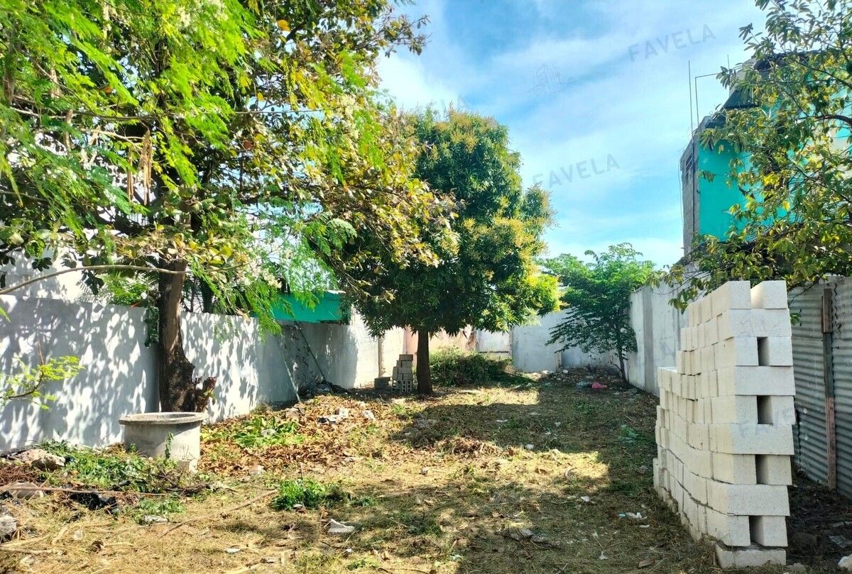 3 de 8