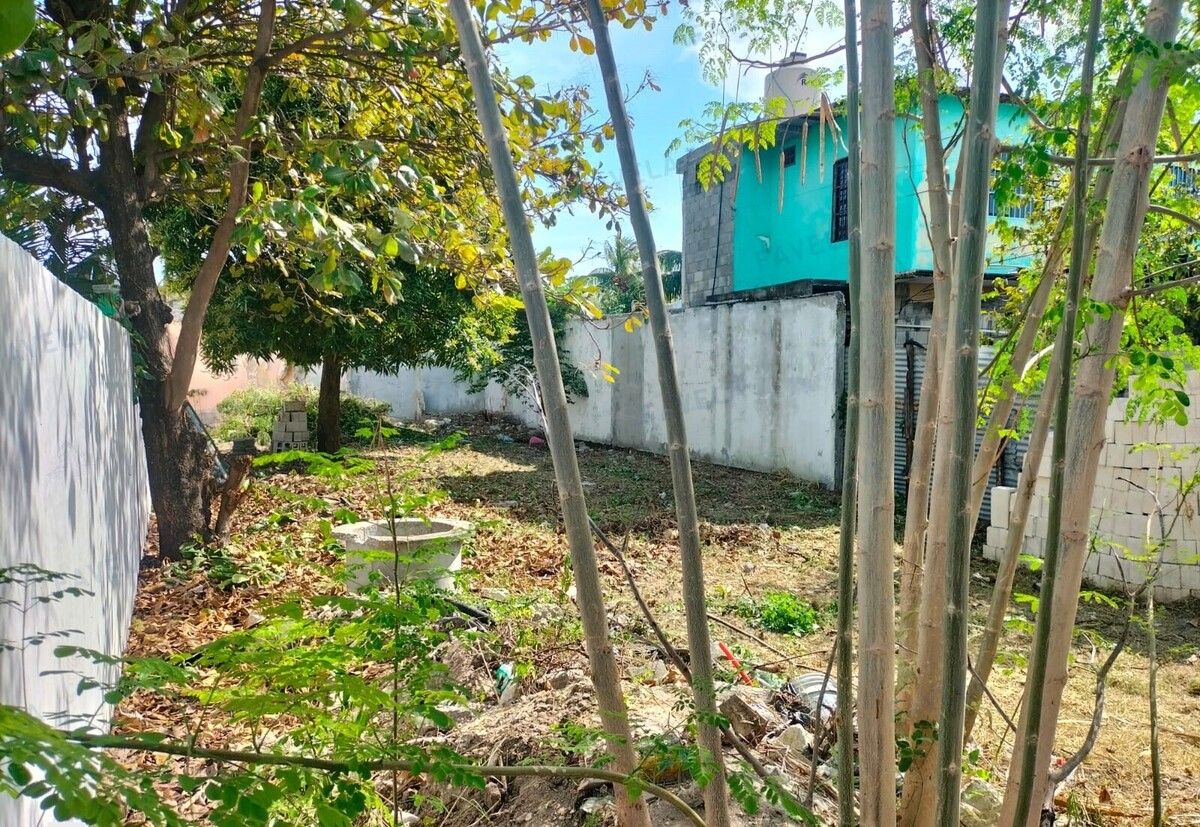 4 de 8